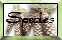 species page